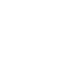 هامون نایزه