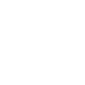 نیوتن