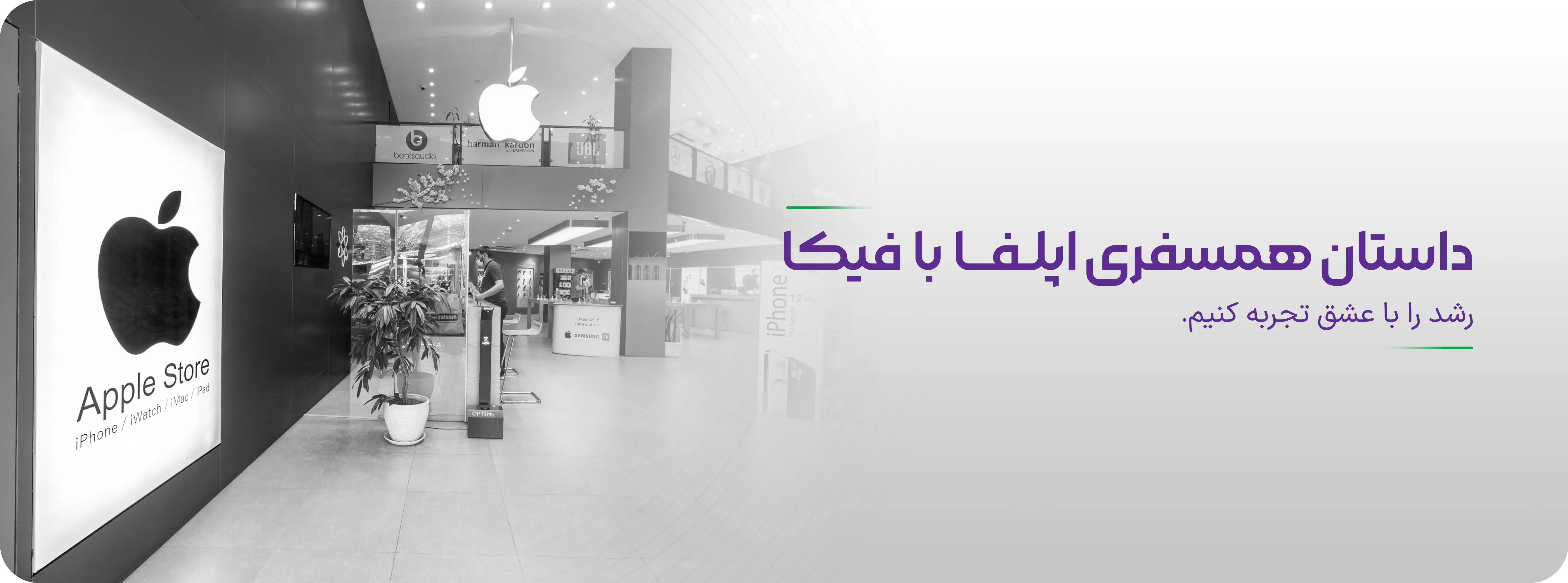 اپلفا