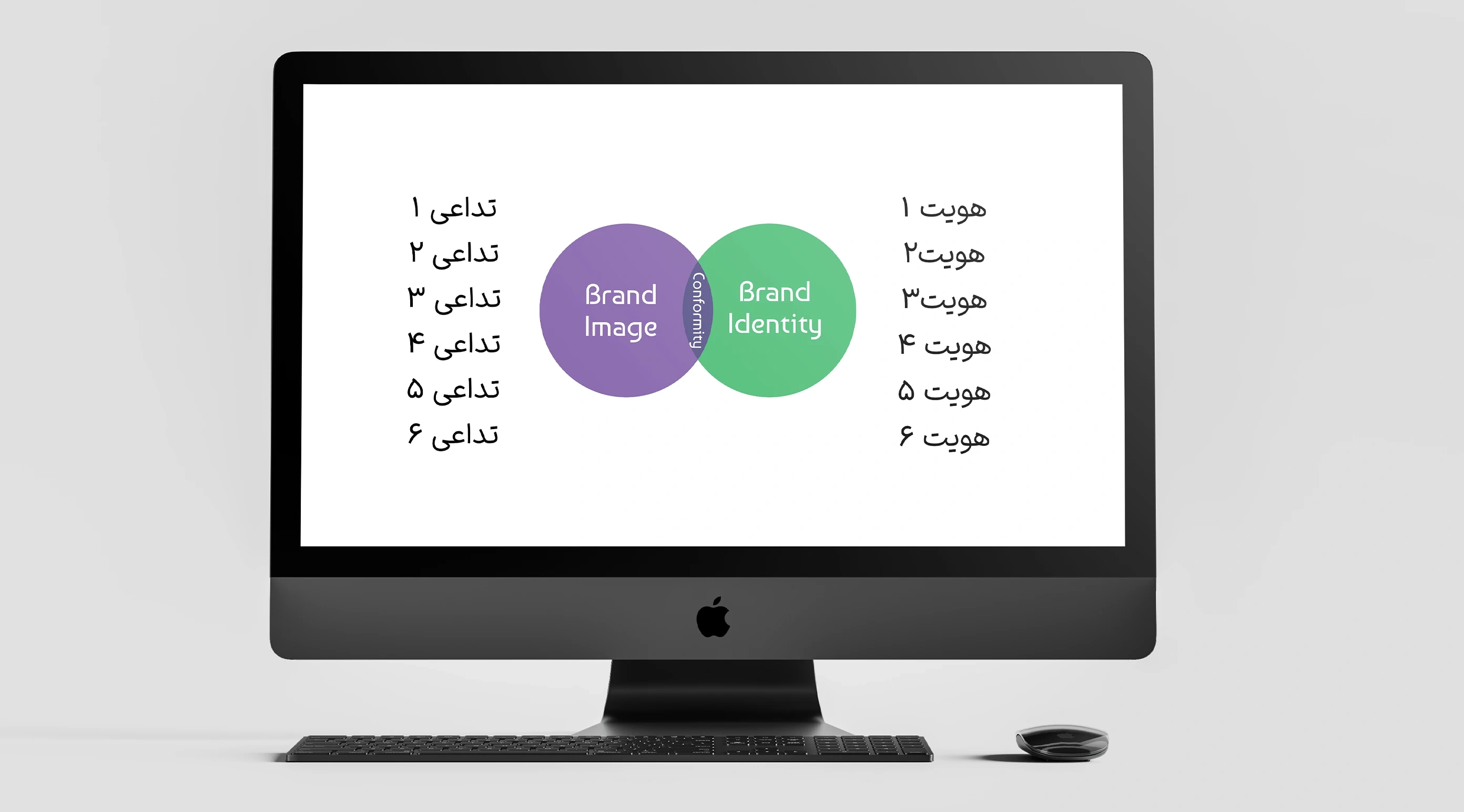 گالری تصاویر