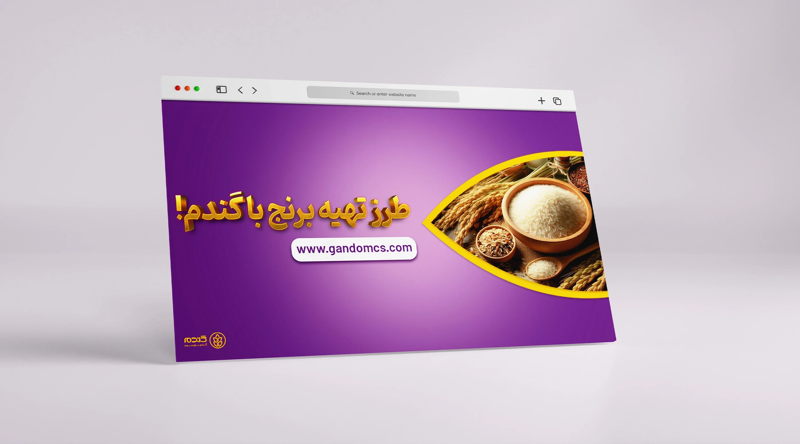 گالری تصاویر