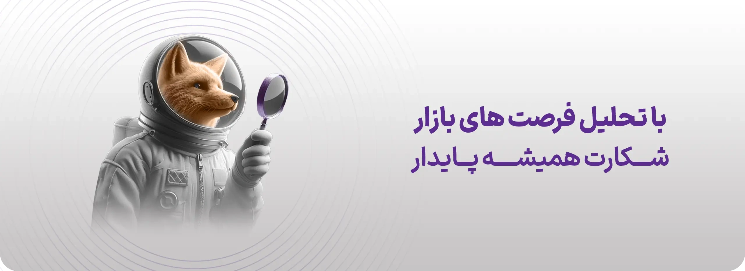 تحلیل فرصت‌های بازار