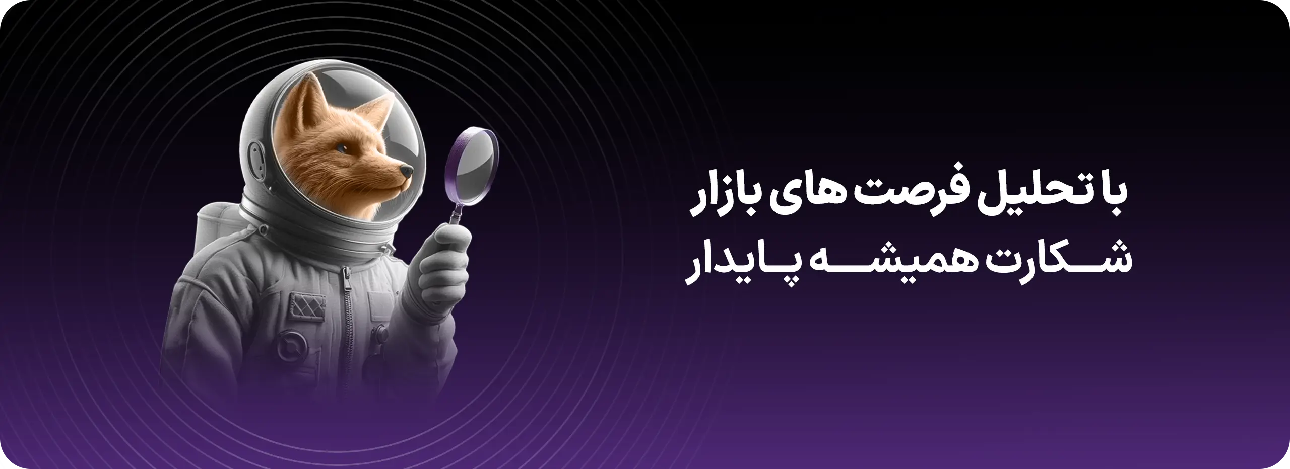 تحلیل فرصت های بازار