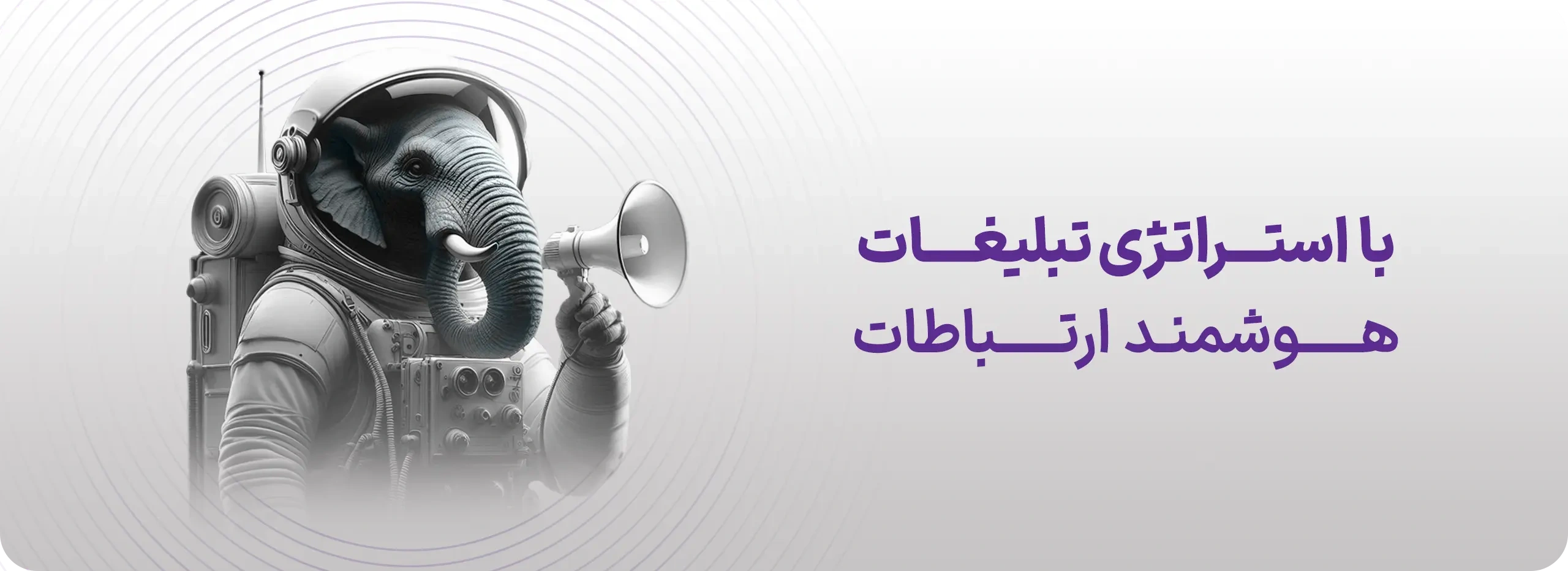 استراتژی تبلیغات