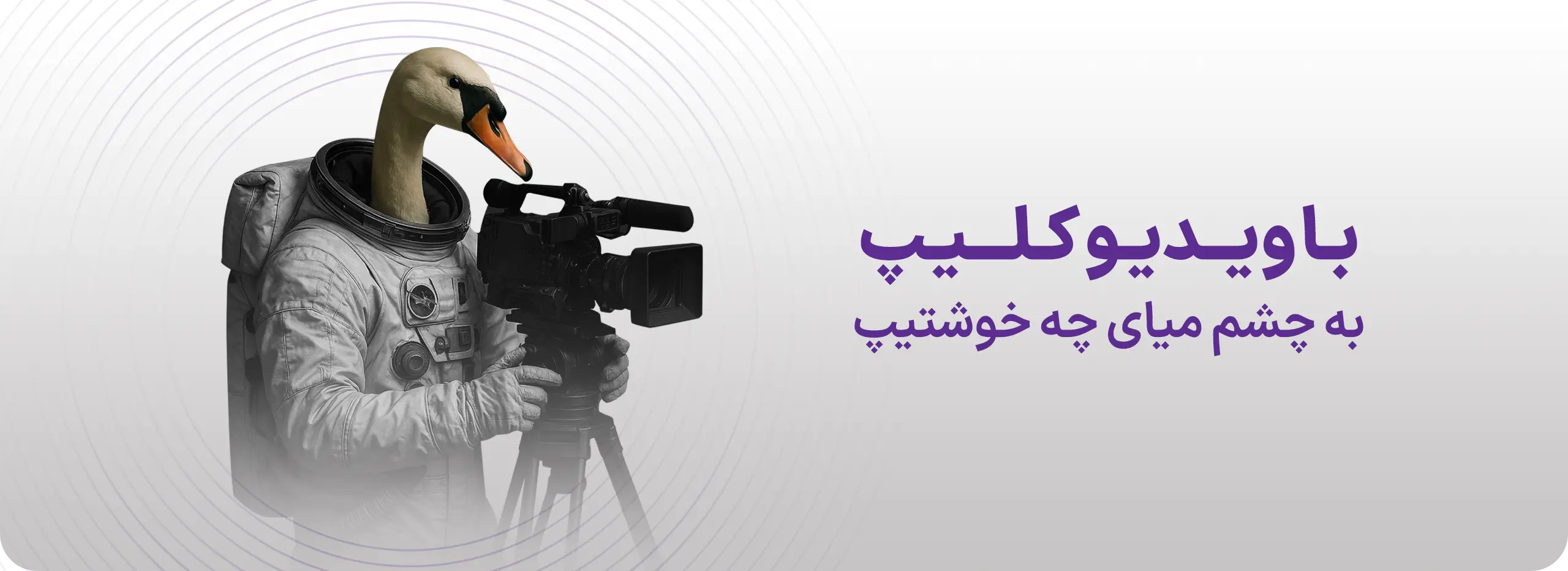 ویدئو کلیپ