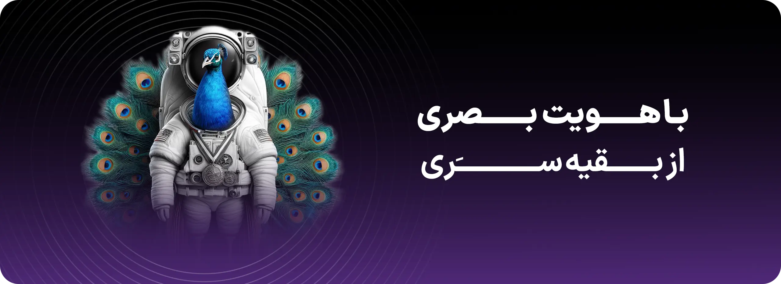 هویت بصری