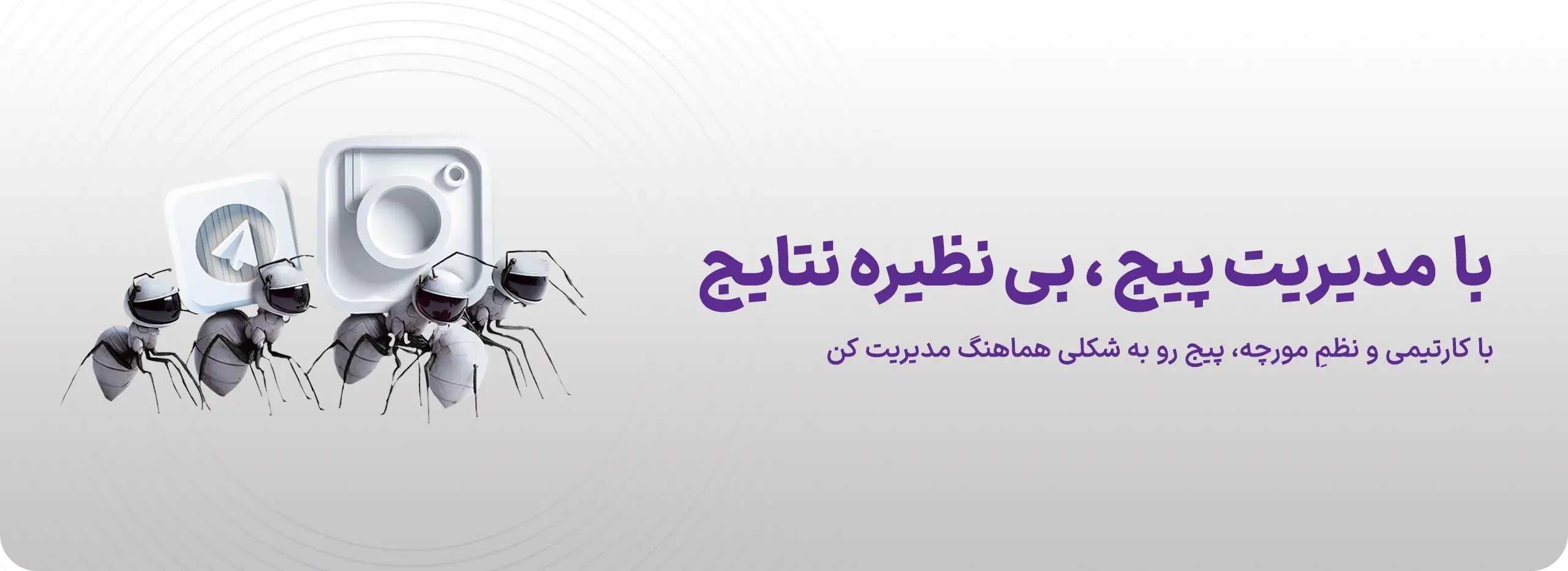 مدیریت شبکه‌های اجتماعی