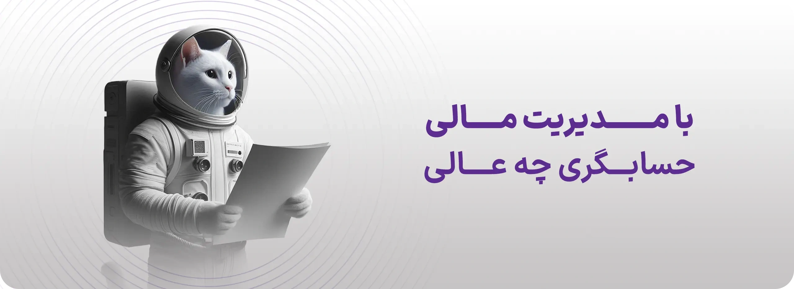 مشاوره مالی و حسابداری