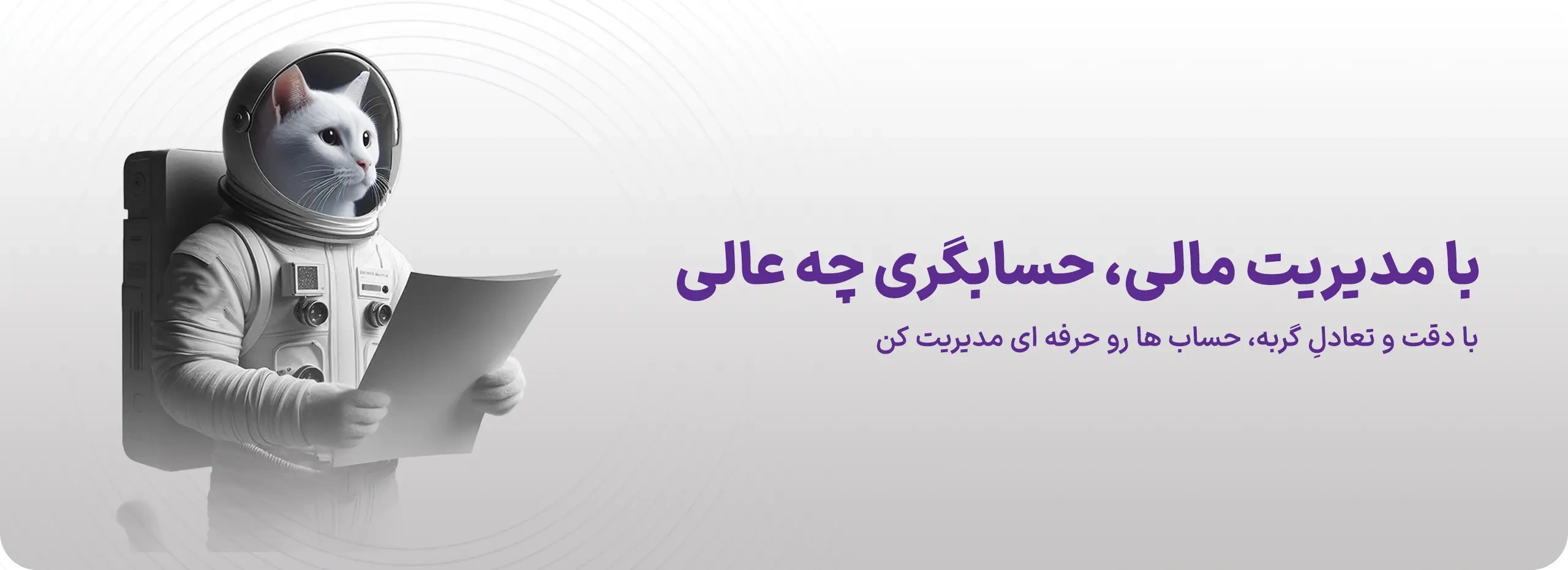 مشاوره مالی و حسابداری