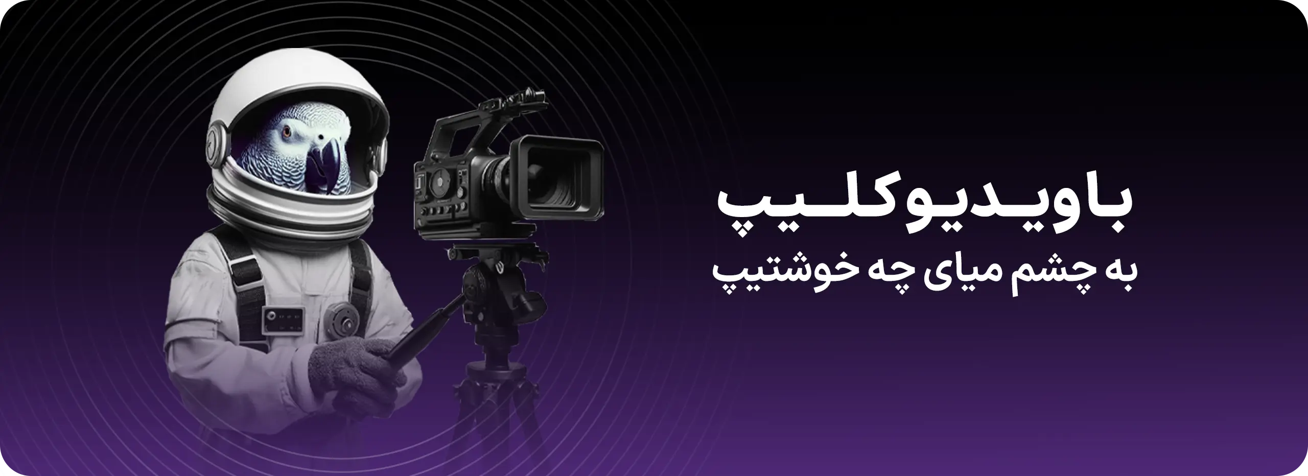 ویدئو کلیپ